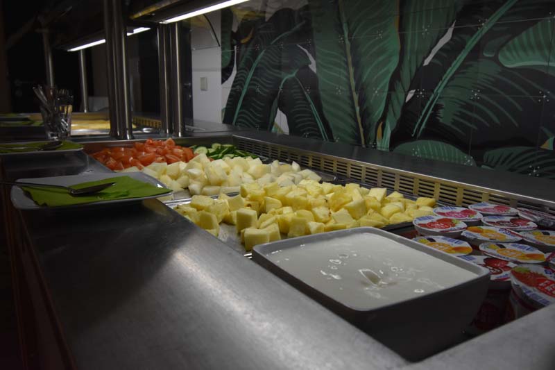 19-04-17_Holl_0031_GA2_8387