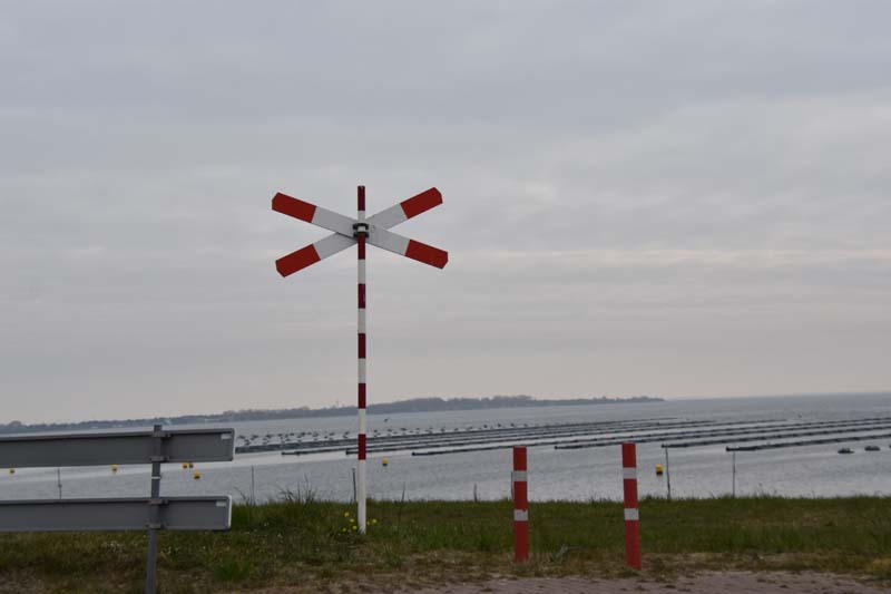 19-04-17_Holl_0046_GA2_8401