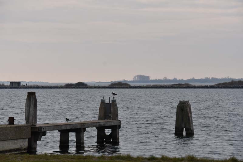 19-04-17_Holl_0049_GA2_8404