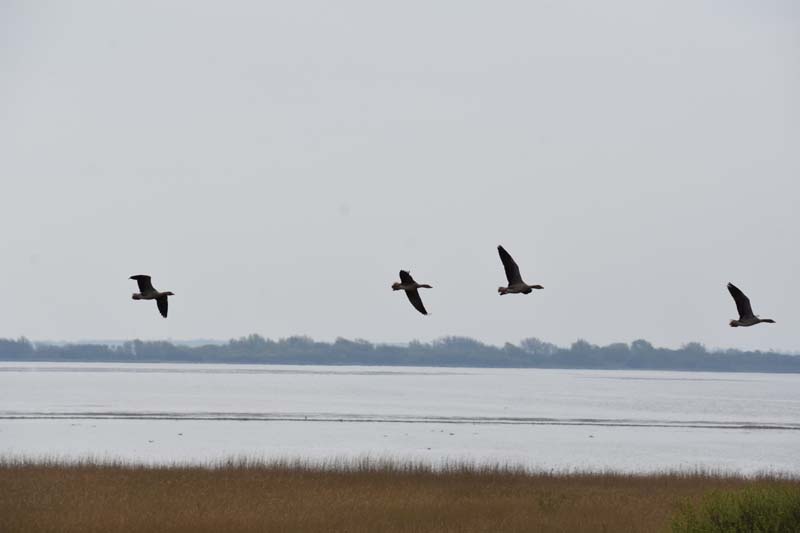 19-04-17_Holl_0102_GA2_8457