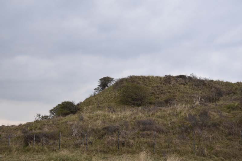 19-04-17_Holl_0491_GA2_8755