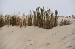 19-04-17_Holl_0078_GA2_8433