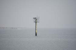 19-04-17_Holl_0095_GA2_8450