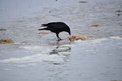 19-04-17_Holl_0253_GA2_8558