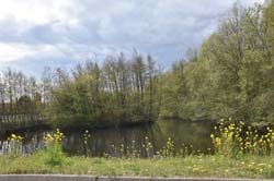 19-04-17_Holl_0302_GA2_8587